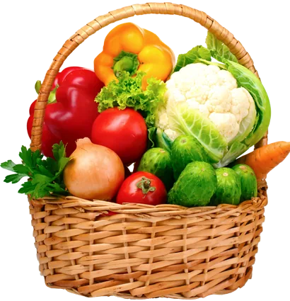 Healthy food illustration